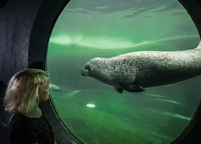 Esbjerg Penthouse - 3Br - City Views - Walk To Everything *